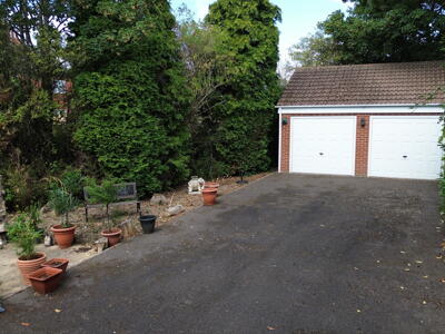 Picture 10